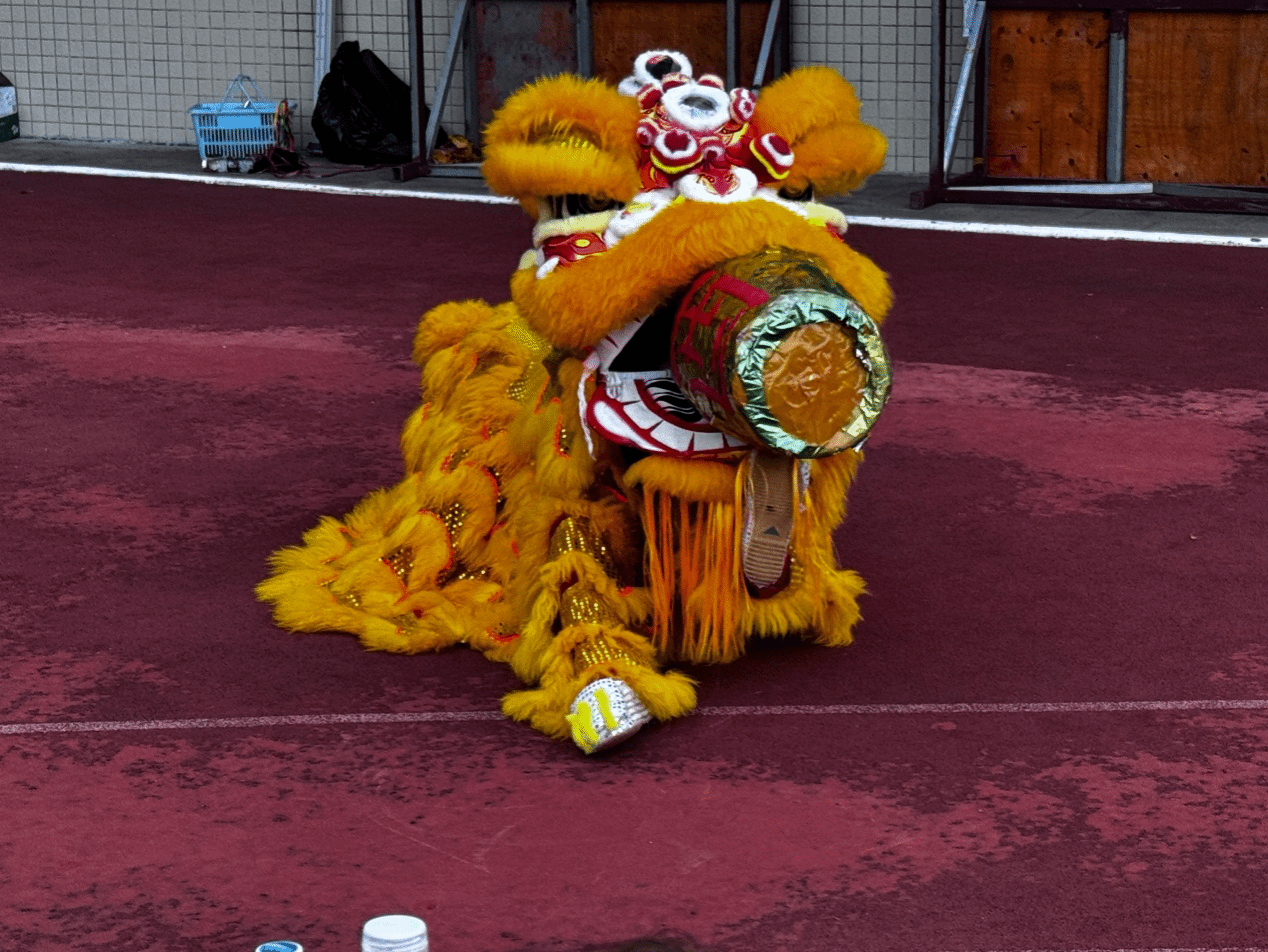华体会